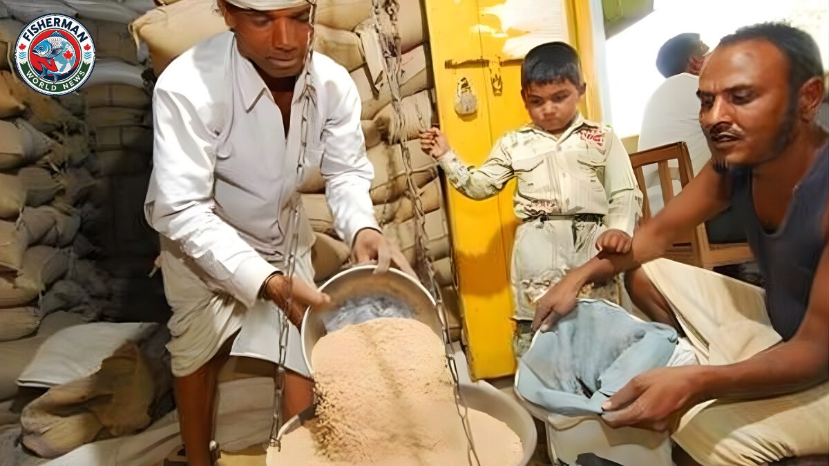 बरेली मंडल के राशनकार्ड