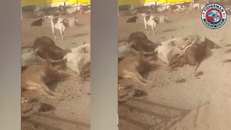 गोरखपुर में