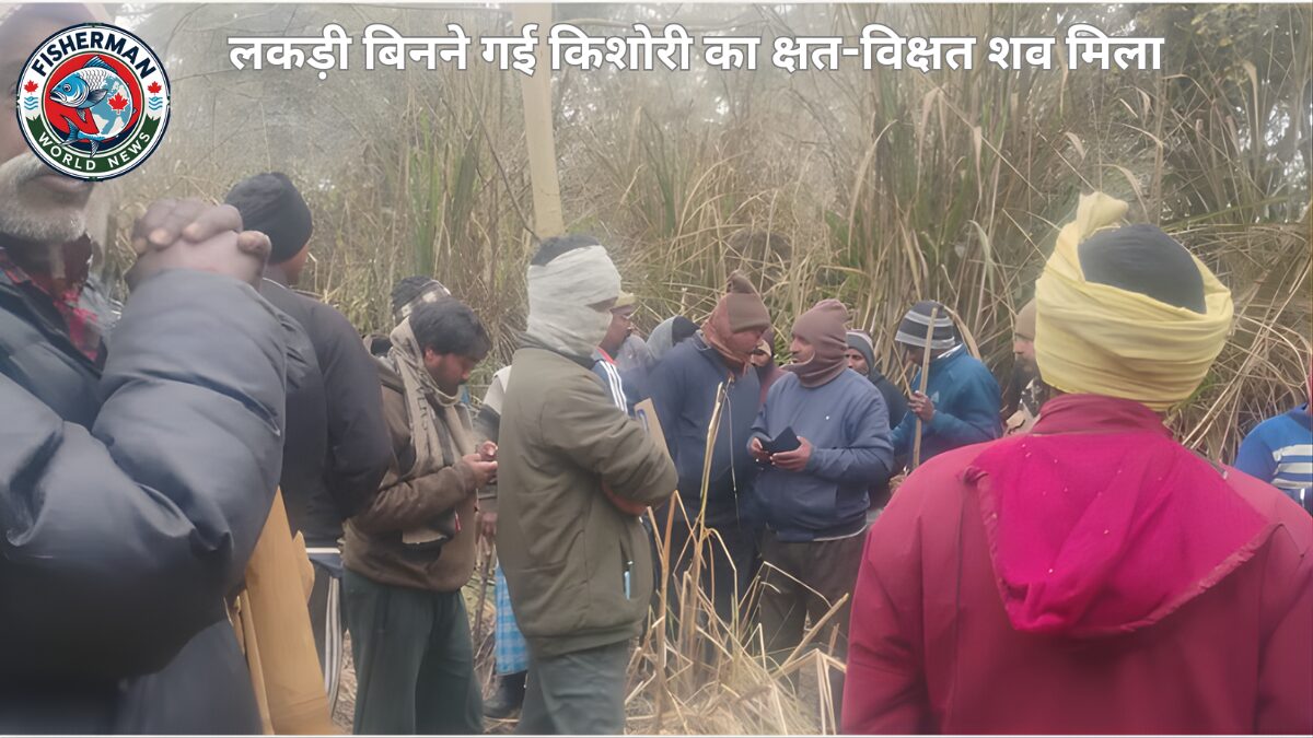 लकड़ी का शव मिला