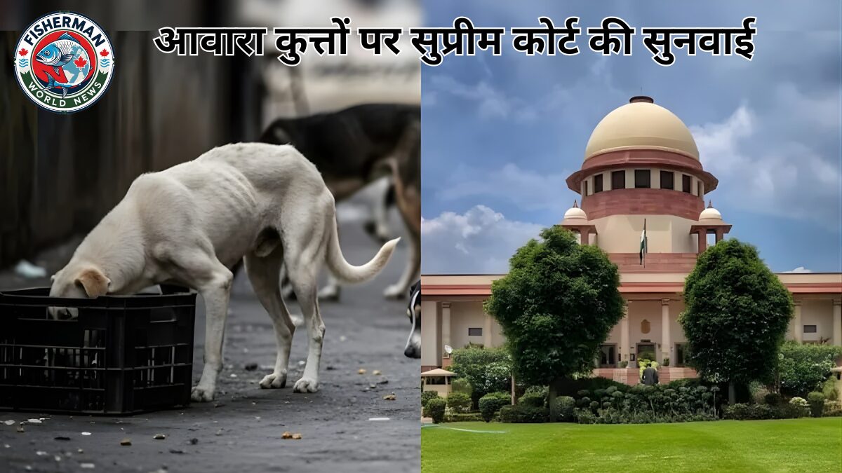 कुत्ते का मूड कैसे पता चलेगा?