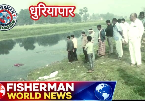 Screenshot_2026-02-20-19-25-39-19_726cd6915a5bbed5e00093b2e2a7609b