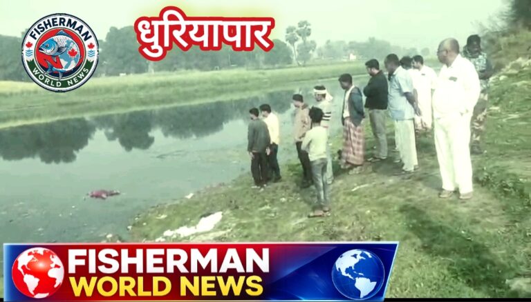 Screenshot_2026-02-20-19-25-39-19_726cd6915a5bbed5e00093b2e2a7609b