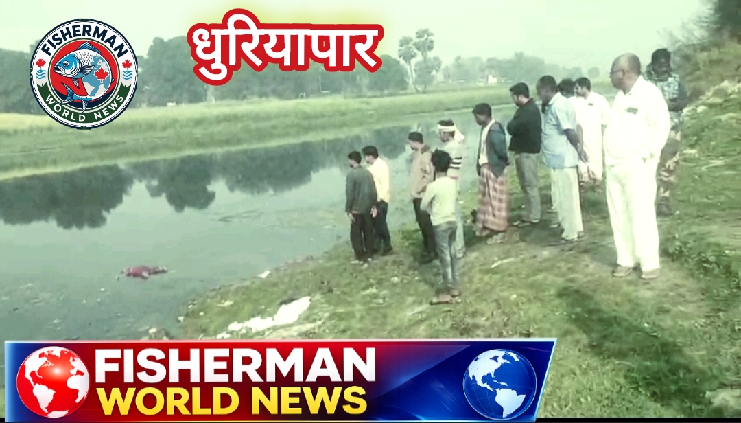 Screenshot_2026-02-20-19-25-39-19_726cd6915a5bbed5e00093b2e2a7609b