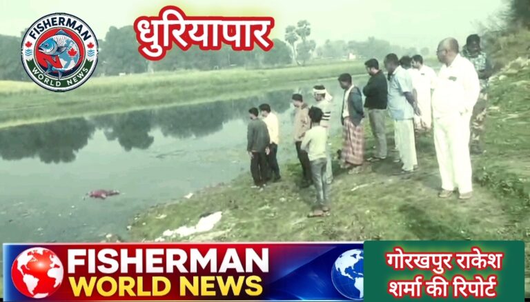 गोरखपुर धुरियापार