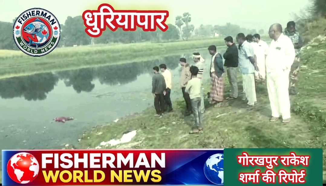 गोरखपुर धुरियापार