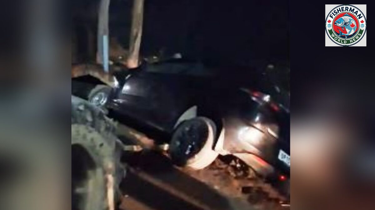 मेरठ में सरधना रोड पर कार नाले में गिरी