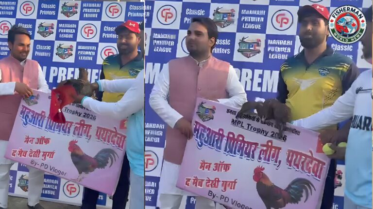 देवरिया के पथरदेवा में क्रिकेट टूर्नामेंट