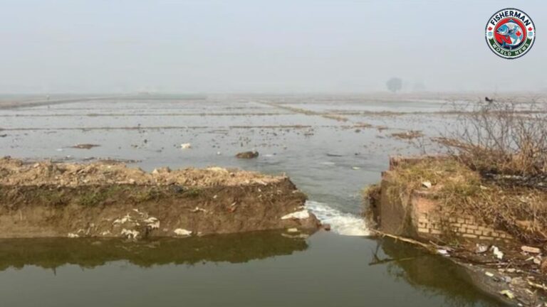 बाढ़ बचाव की 27 परियोजनाओं