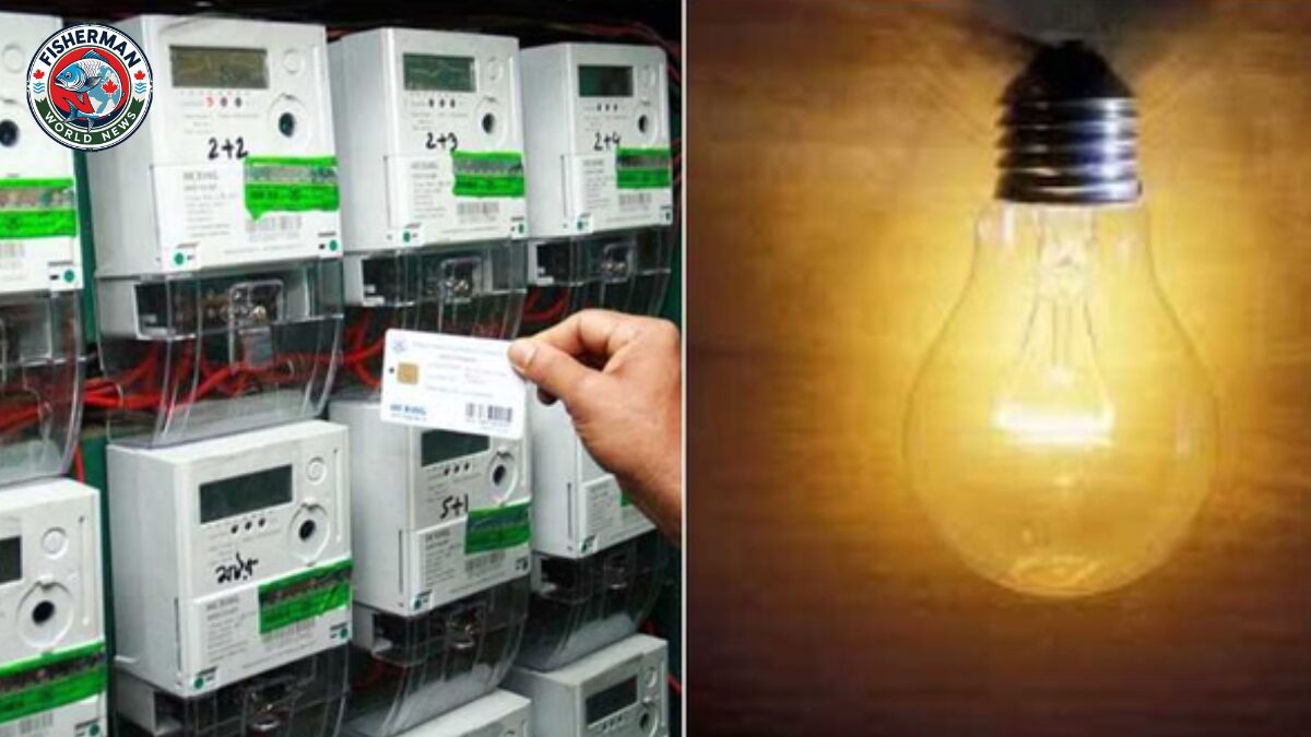 उत्तर प्रदेश में होली के दौरान कोई बिजली कटौती नहीं होगी