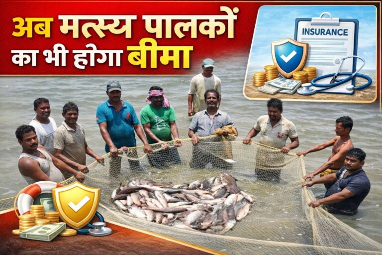 file_000000002fd47209b70919453dd0199c