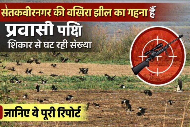 file_000000005e8071fabafc13f8e3a77ff6