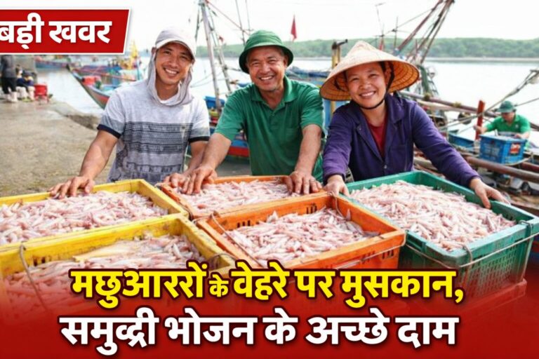 file_00000000c48c7206916ee435b247120c