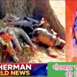 Screenshot_2026-03-01-14-12-38-35_726cd6915a5bbed5e00093b2e2a7609b