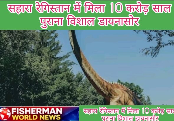 Screenshot_2026-03-04-12-38-23-57_726cd6915a5bbed5e00093b2e2a7609b