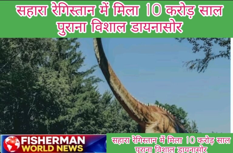 Screenshot_2026-03-04-12-38-23-57_726cd6915a5bbed5e00093b2e2a7609b