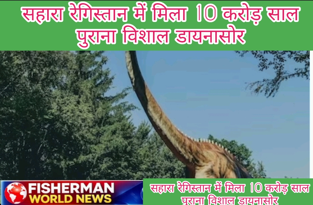 Screenshot_2026-03-04-12-38-23-57_726cd6915a5bbed5e00093b2e2a7609b