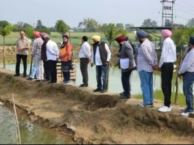 Screenshot_2026-03-22-13-25-19-30_40deb401b9ffe8e1df2f1cc5ba480b12