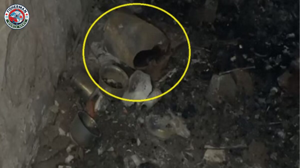 अलीगढ़ के फिरदौस नगर में