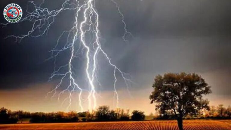 प्रयागराज न्यूज: झमाझम बारिश