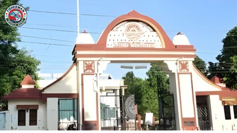 गोरखपुर विश्वविद्यालय