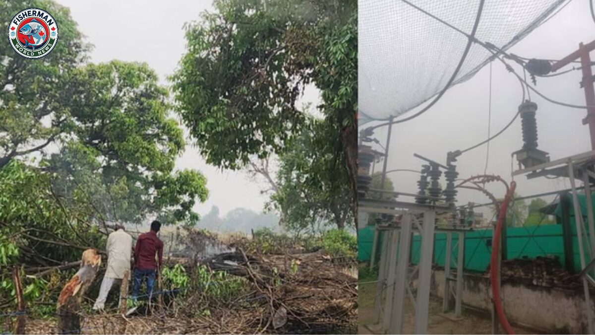 आंधी-पानी से बिजली व्यवस्था चरमरा गई
