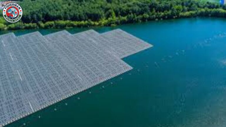 गोरखपुर के चिलुआताल में