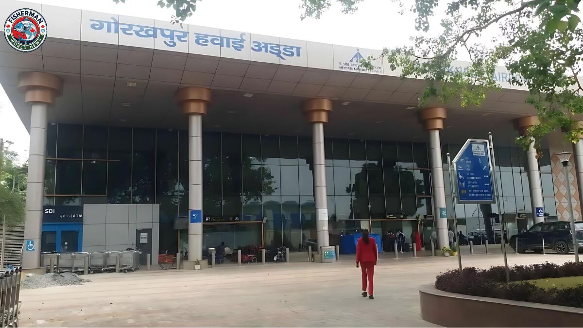 गोरखपुर एयरपोर्ट से नवी मुंबई