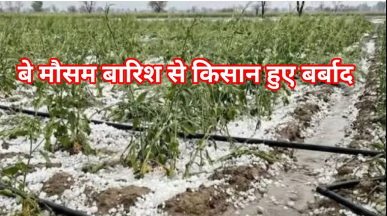 Screenshot_2026-04-08-10-55-04-19_8103d34b31ccde8855577b732f573a6d