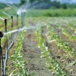 Screenshot_2026-04-14-21-00-22-75_96b26121e545231a3c569311a54cda96