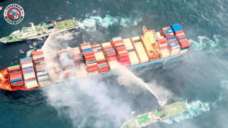 गोरखपुर में मर्चेंट