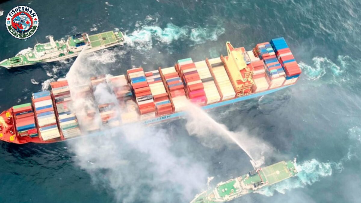 गोरखपुर में मर्चेंट