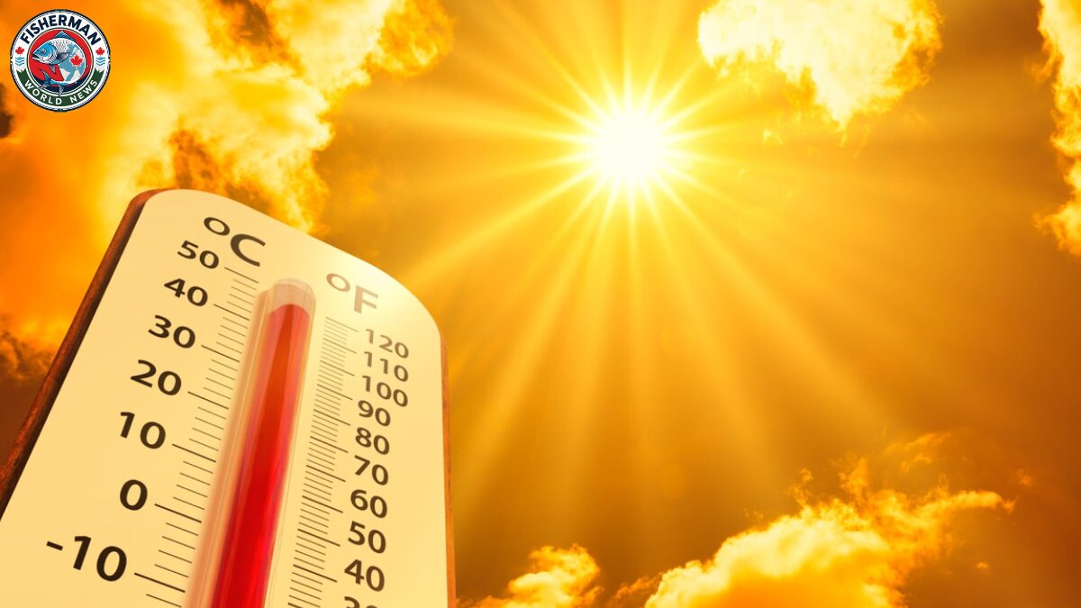 उत्तर प्रदेश में कई जिलों में