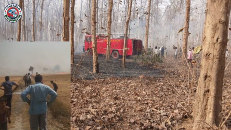 गोरखपुर के पिपराइच क्षेत्र में
