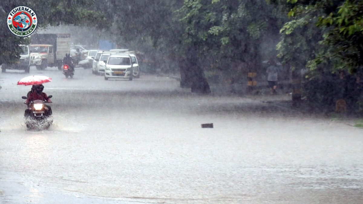 उत्तर प्रदेश के 50 से ज्यादा जिलों में बारिश