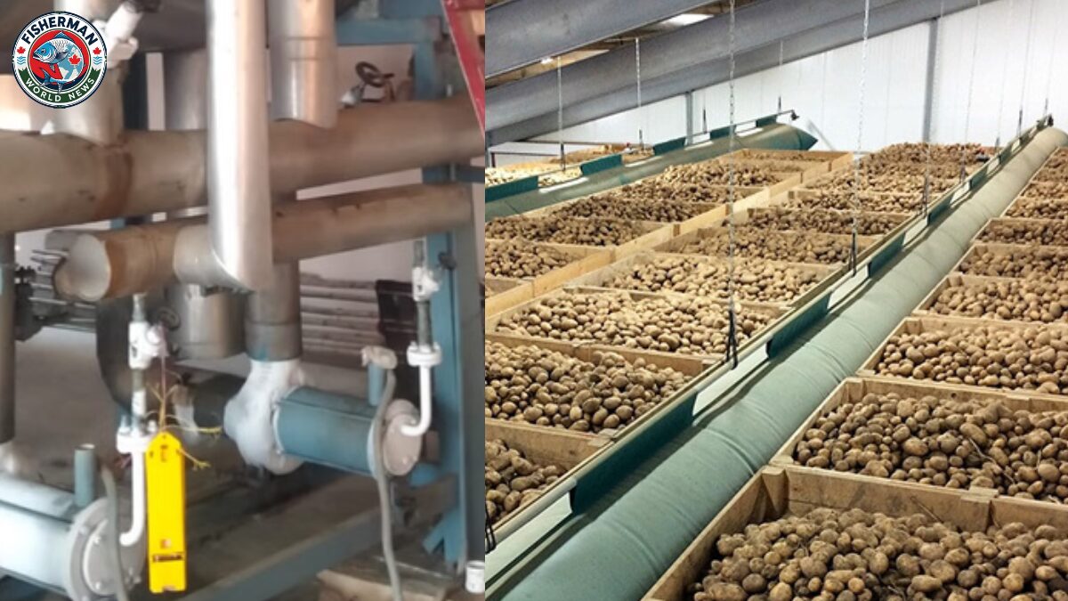 ईरान इजराइल युद्ध का असर यूपी में