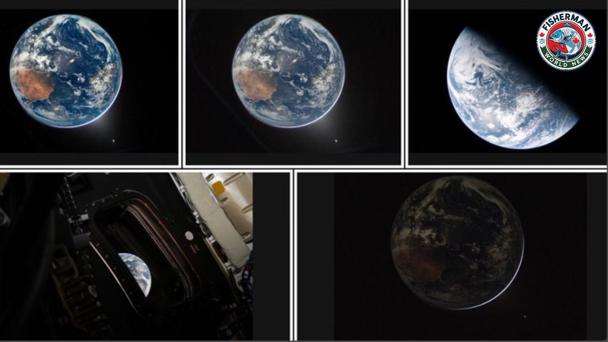 नासा के आर्टेमिस