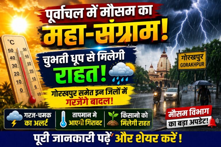 file_0000000008c071fa942c51e87b021b0e