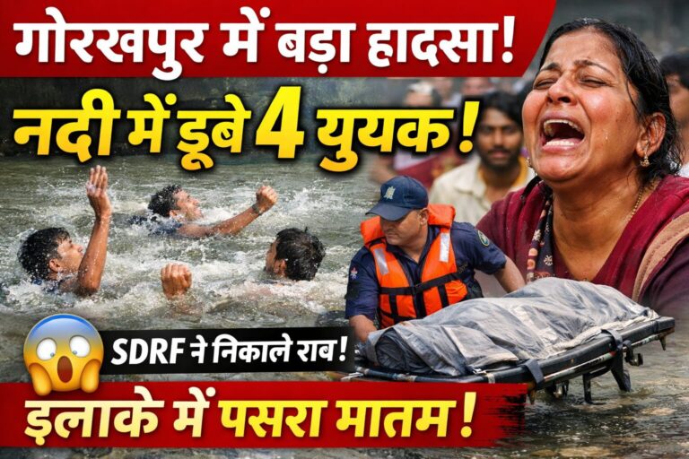 file_000000006cd071fab409f4519005618d