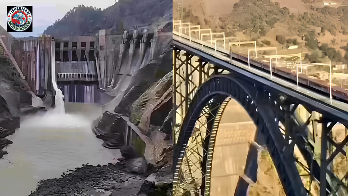 चिनाब नदी प्रणाली से