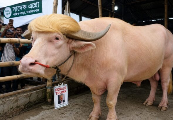 बांग्लादेश में ‘Donald Trump’