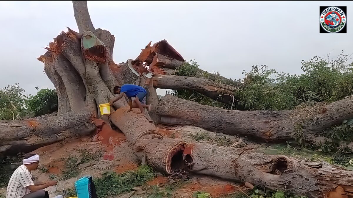 गोरखपुर के गगहा थाना क्षेत्र
