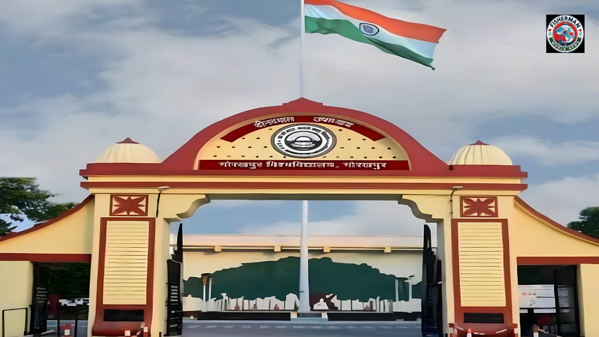 गोरखपुर विश्वविद्यालय में
