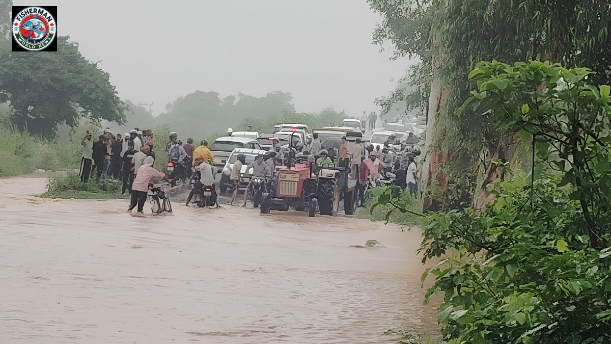 लगातार बारिश के बाद बिजनौर