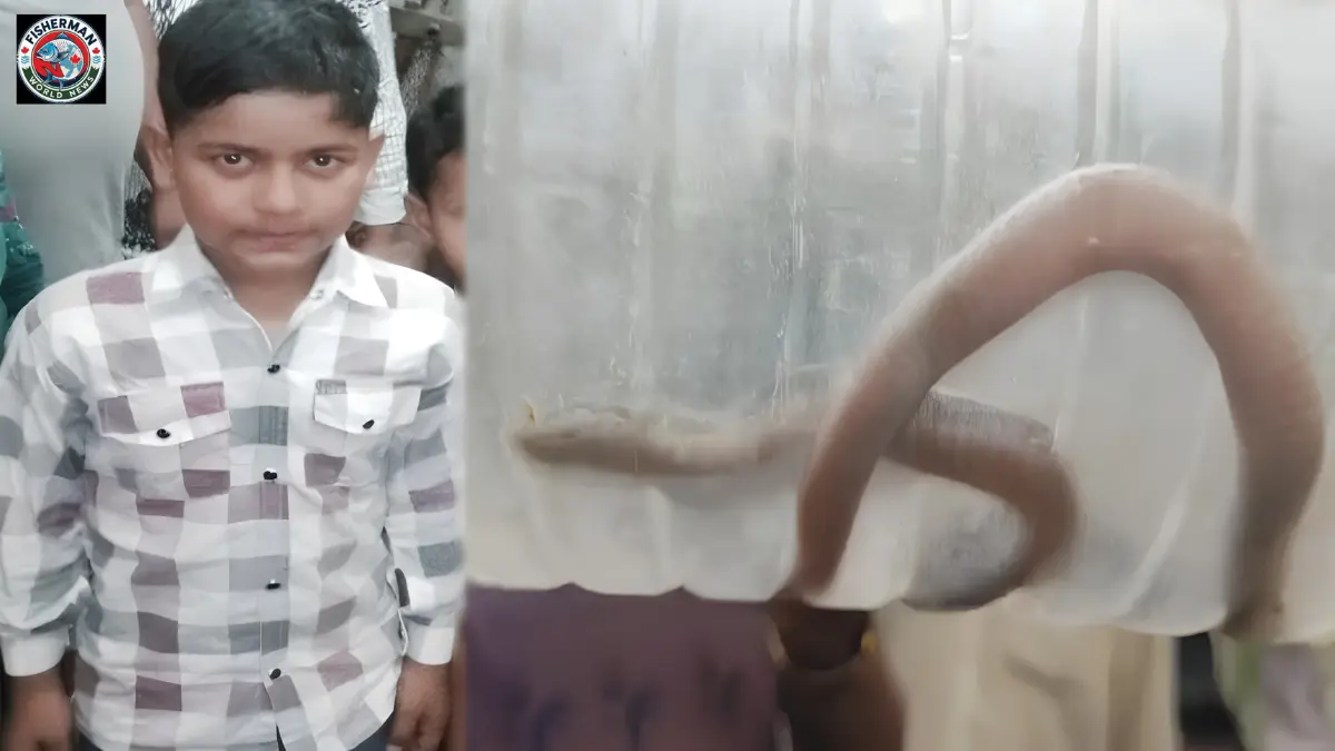 मेरठ के अम्हेड़ा गांव में