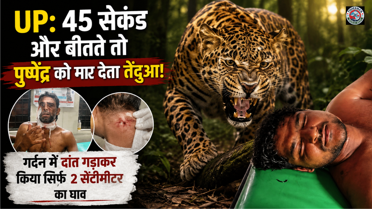 मुरादाबाद के डिलारी में तेंदुए ने